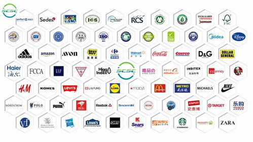 企业 GSS 验厂无忧 智慧行定制化咨询，高效拿证拓市场